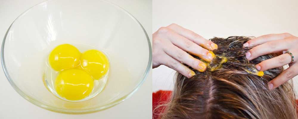 فواید زرده تخم مرغ برای مو